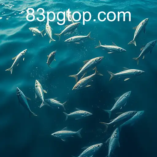 Security and Trust 83pg - International Licenses and Certifications